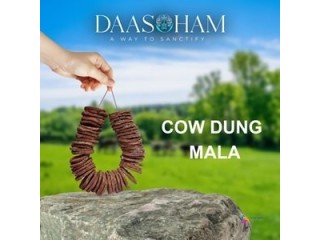 Cow dung for cakes  Agnihotra Yagna