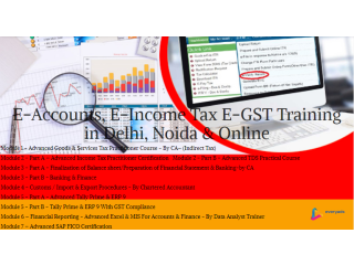 Accounting Course in Delhi, 110068, SLA Accounting [ Learn New Skills of Accounting & GST for 100% Job] in IBM