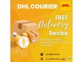 dhl-courier-chennai-dhl-chennai-small-0