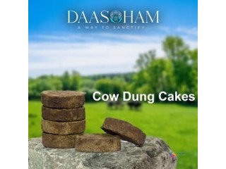 Cow dung cakes for Rudra Yagna