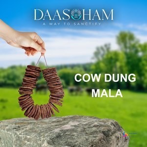cow-dung-cakes-for-sudarshana-homa-big-0