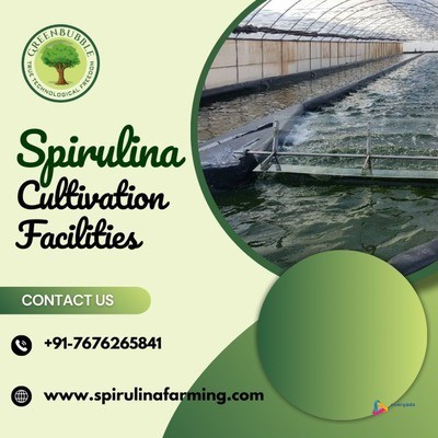 spirulina-cultivation-sustainable-farming-for-quality-spirulina-big-0