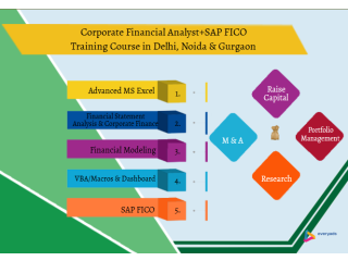 Financial Modelling Certification Course in Delhi,110041. Best Online Live Financial Analyst Training in Bhiwandi by IIT Faculty