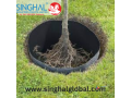 protect-paving-with-hdpe-root-barriers-small-0