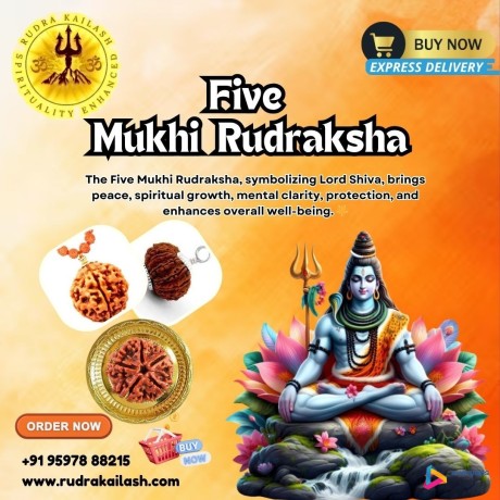 buy-5-mukhi-rudraksha-mala-online-big-0