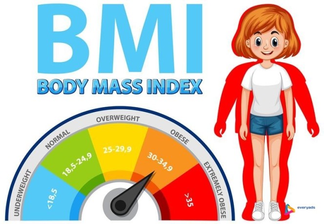 find-the-best-body-composition-bmi-machines-accurate-reliable-smart-big-0