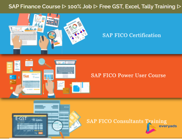 job-oriented-sap-fico-certification-course-in-delhi-tilak-nagar-sla-institute-free-sap-server-access-special-offer-with-free-placement-big-0