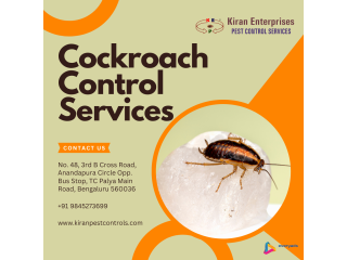 Cockroach Control Services in Magadi Road | Safe & Trusted