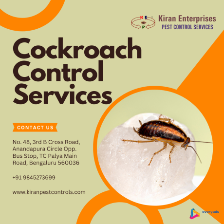 cockroach-control-services-in-magadi-road-safe-trusted-big-0