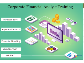 Step-in Delhi. 110001, by-Step Guide to Building a Financial Model in SAP FICO, Get Financial Analyst Course in Delhi.