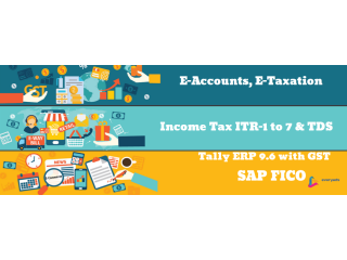 Online Accounting Course in Delhi, GST and Custom Taxaton Course in Delhi,
