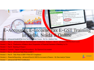 Finance + Accounting Course in Delhi, Taxation and GST and Custom Course in Delhi, 100% Job Guarantee Course by "SLA Consultants""