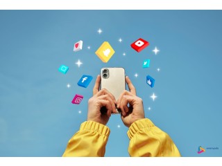 Expert-Led Social Media Optimization Services in India