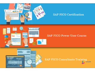Best SAP FICO Certification in Delhi, Karkardooma, Free SAP Server Access by SLA Institute, 100% Job Guarantee