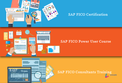 best-sap-fico-certification-in-delhi-karkardooma-free-sap-server-access-by-sla-institute-100-job-guarantee-big-0