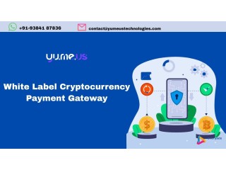 Accept Crypto Payments With White Label Crypto Payments Gateway!