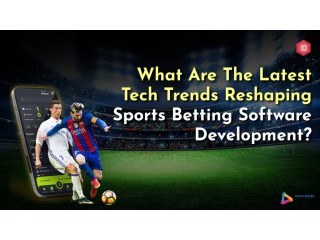 How Sports Betting Software Development Works step-by-step