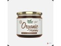 buy-organic-raw-honey-online-natures-nectar-small-0