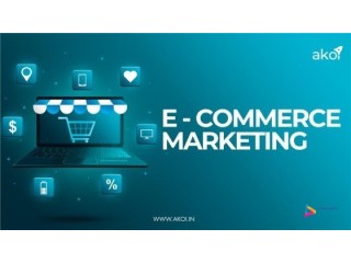 Ecommerce Website Development & Account Management Experts in India