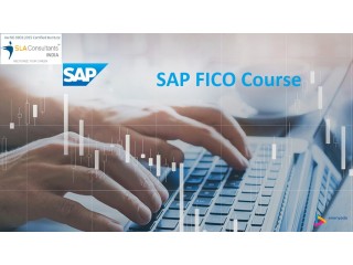 SAP FICO Certification in Punjabi Bagh, Delhi with Free Accounting, Tally & Finance Certification, Dussehra Offer '23, Free Job Placement