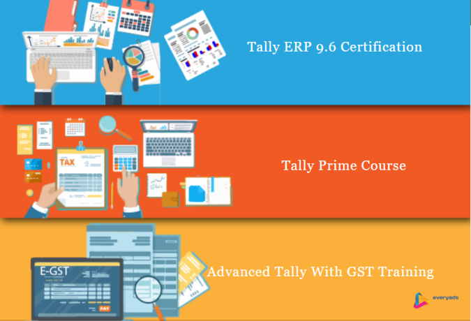best-tally-certification-in-delhi-sla-consultants-india-accounting-gst-sap-fico-course-with-100-job-guarantee-big-0