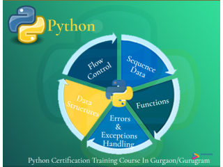 Data Science Classes in Delhi, Noida & Gurgaon, Free R & Python with ML Training, Free Demo Classes, 100% Job Placement, Diwali Offer '23,