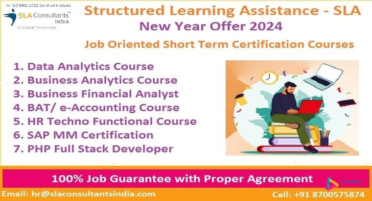 hr-payroll-institute-in-delhi-ghaziabad-sla-institute-classes-sap-hcm-certification-hr-training-course-100-job-learn-new-skills-of-24-big-0