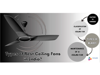 Ceiling Fan Buying Guide: Learn to Choose a Fan-tastic Ceiling Fan