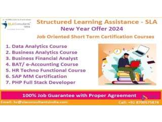Data Analytics Course in Delhi with Free Python+Power BI by SLA Institute  [100% Placement] get IBM Data Science Professional Training,