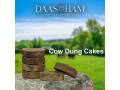 cow-dung-amazon-small-0
