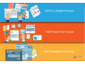 sap-fico-course-in-delhi-110048-sla-gst-institute-sap-s4-hana-finance-100-job-update-new-skill-in-24-summer-2024-offer-small-0