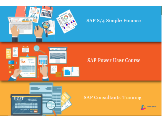 SAP FICO Course in Delhi, 110048, SLA GST Institute, SAP s/4 Hana Finance  [100% Job, Update New Skill in '24] Summer 2024 Offer