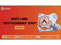 white-label-cryptocurrency-script-small-0