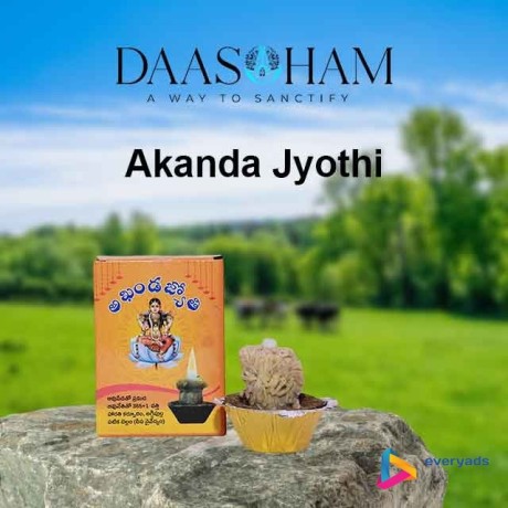 cow-dung-diya-in-andhra-pradesh-big-0