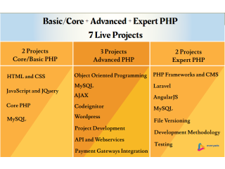 Best PHP Training in Delhi, SLA IT Institute, Live Project, Git, Wordpress, Laravel Course with 100% Job Placement