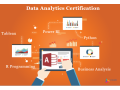 best-data-analyst-certification-course-in-delhi-110053-best-online-live-data-analyst-training-in-pune-by-iit-faculty-100-job-in-mnc-small-0