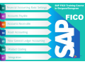 sap-fico-training-in-delhi-with-best-salary-offer-by-sla-consultants-india-small-0