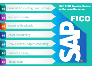 SAP FICO Training in Delhi with Best Salary Offer by SLA Consultants India