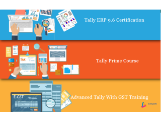 Tally Prime Course in Delhi, 110040, NCR by SLA. GST and Accounting Institute, Taxation and Tally Prime Institute in Delhi, Noida