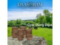 cow-dung-cakes-for-shradh-or-pitru-paksha-small-0