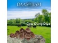cow-dung-cakes-for-vastu-puja-small-0