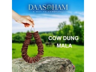 Cow dung cakes for Bhoomi Puja