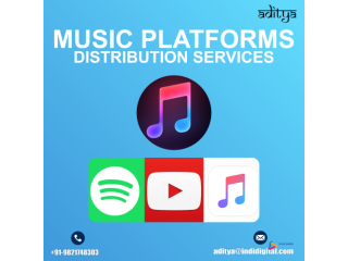 Affordable price for music platforms distribution services